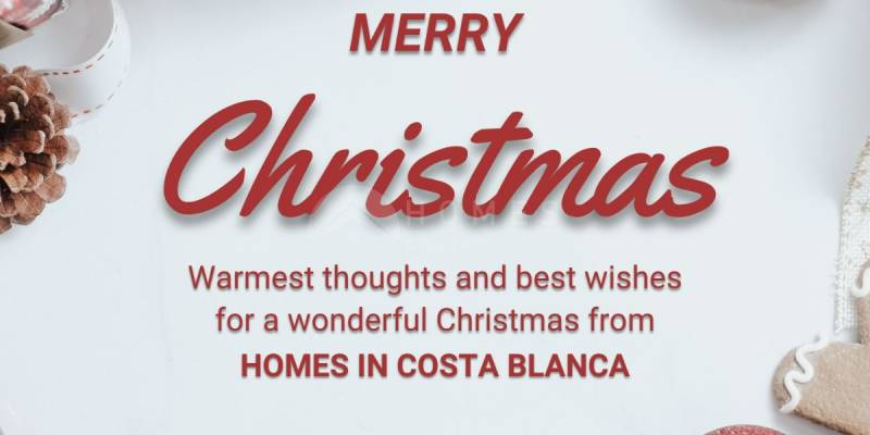 Merry Christmas and Happy New Year! May 2024 bring you new dreams and successes