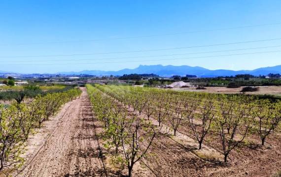 ¿Buscas una oportunidad de inversión? Elige una de nuestras casas de campo en venta en Agullent  