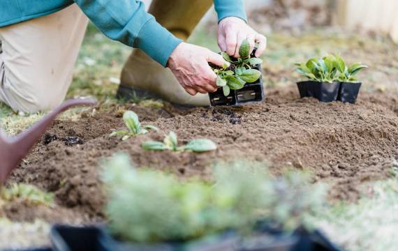 Welke activiteiten kunt u ondernemen terwijl u in een van onze landhuizen te koop in Millena woont?