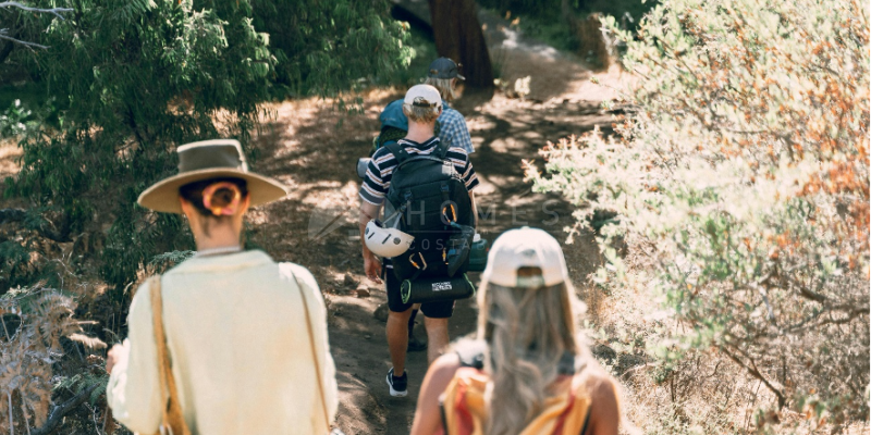 Experience the Mediterranean spring in one of our traditional country houses for sale in Albaida