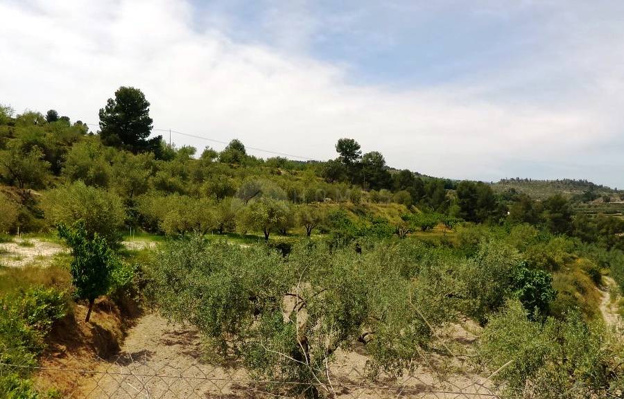 Venta - Casa de Campo - Benillup