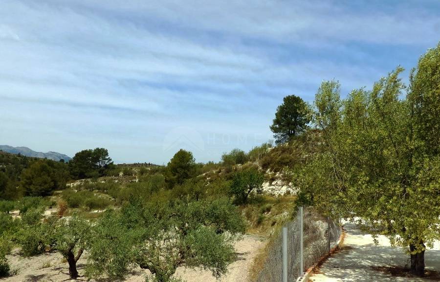 Venta - Casa de Campo - Benillup