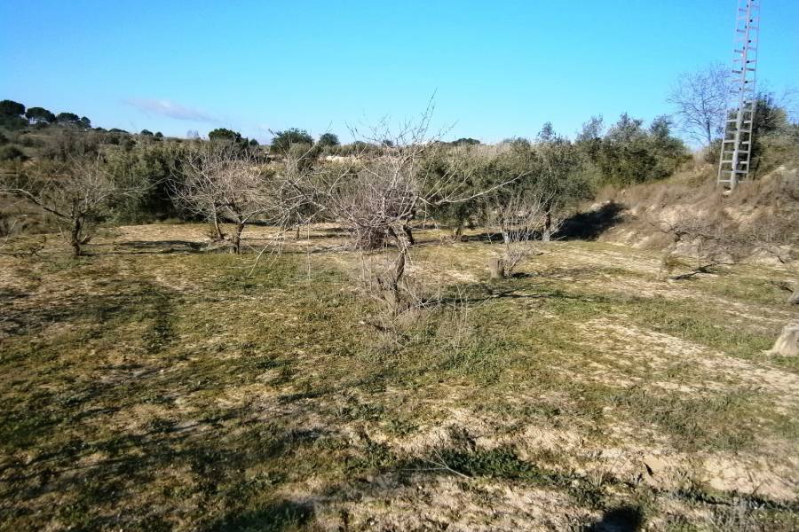 For sale - Rustic Land - Agullent