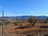 For sale - Rustic Land - Gaianes