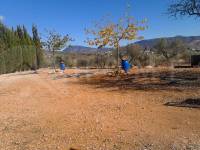 For sale - Rustic Land - Gaianes