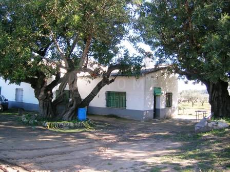 Venta - Casa de Campo - Ontinyent