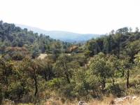 Venta - Finca - Alcoy