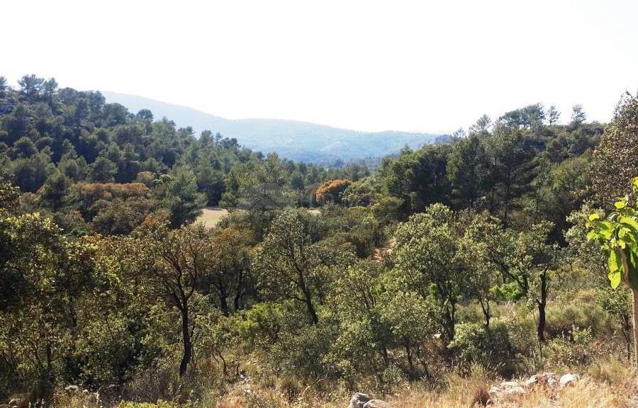 Venta - Finca - Alcoy