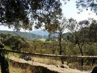 Venta - Finca - Alcoy