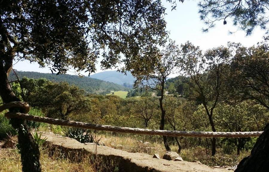 Venta - Finca - Alcoy