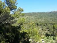 Venta - Finca - Alcoy