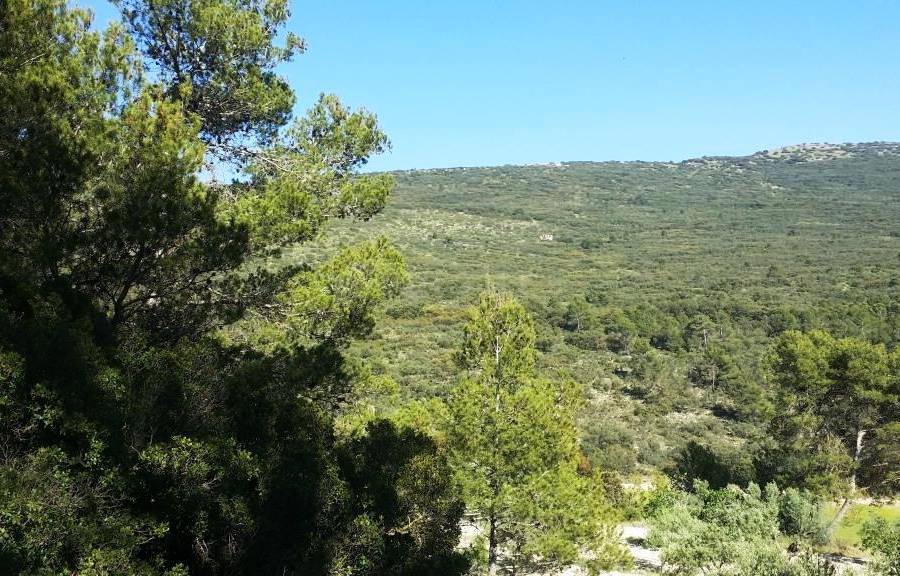 Venta - Finca - Alcoy