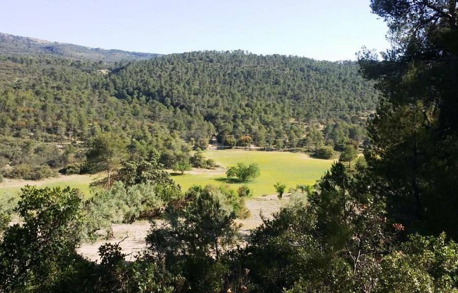 Venta - Finca - Alcoy