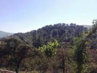 Venta - Finca - Alcoy