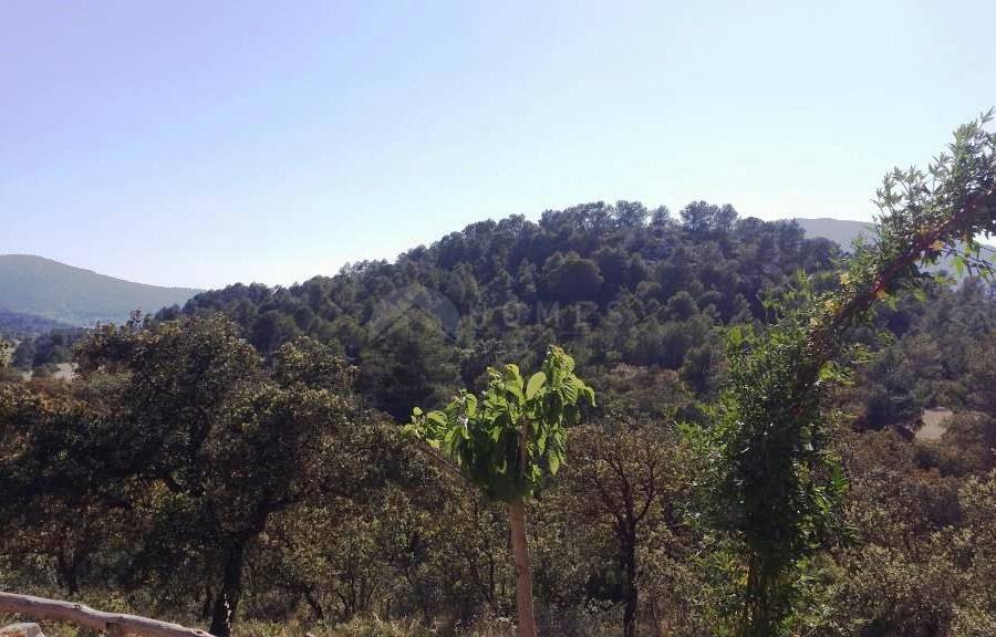 Venta - Finca - Alcoy