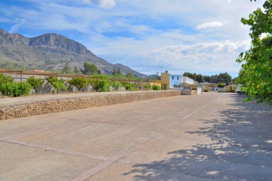 Venta - Finca - Gaianes