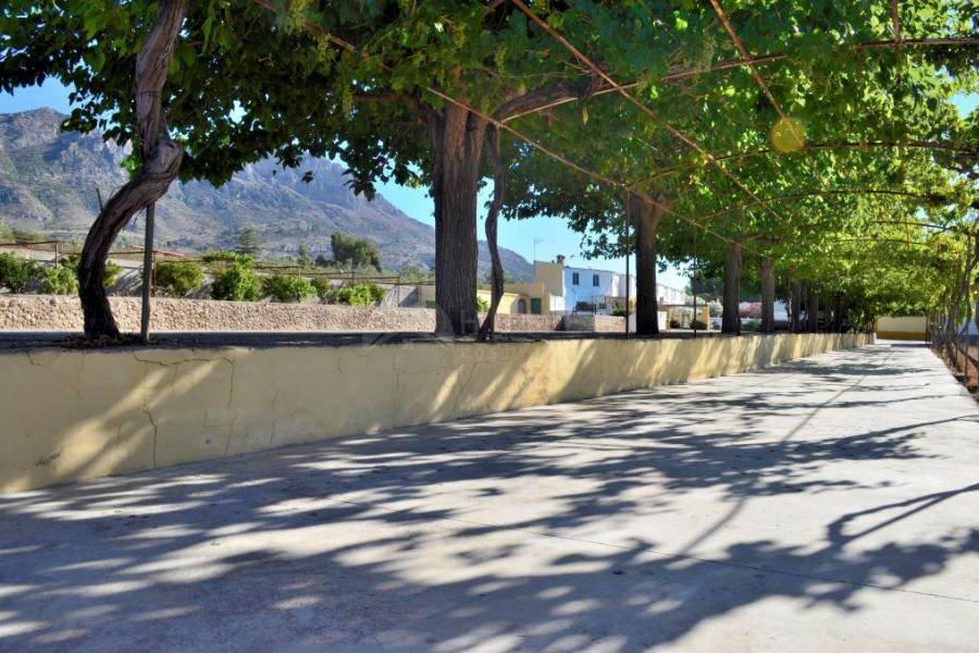 Venta - Finca - Gaianes