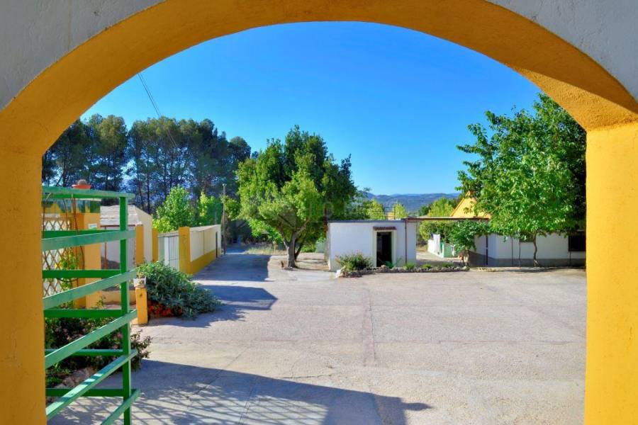 Venta - Finca - Gaianes