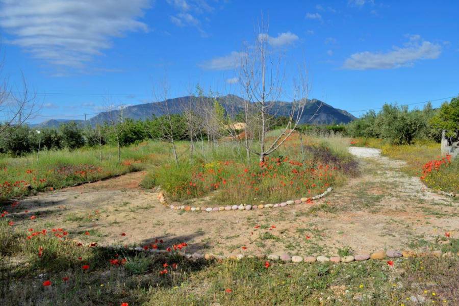 Venta - Finca - Gaianes