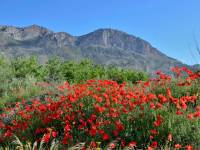 Venta - Finca - Gaianes