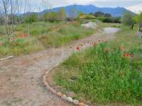 Venta - Finca - Gaianes