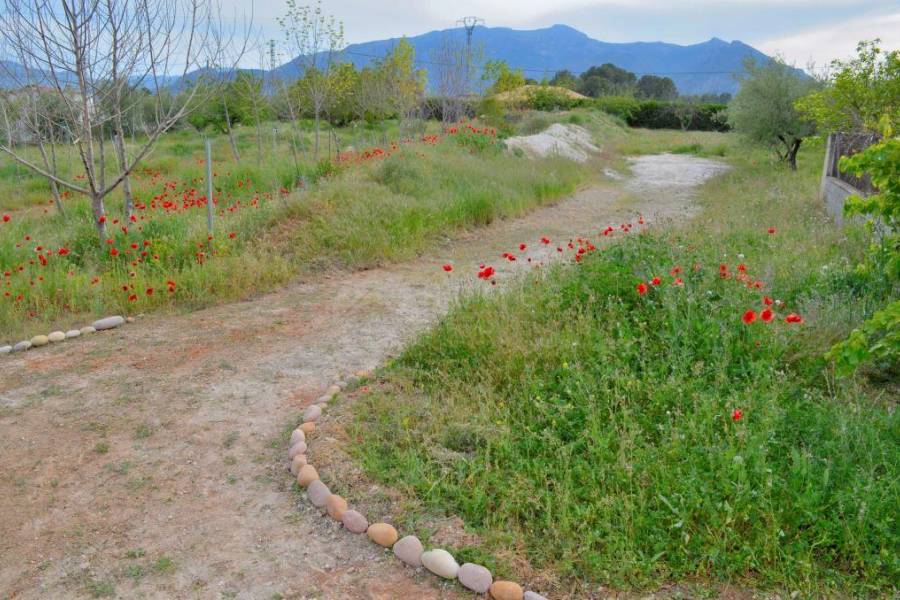 Venta - Finca - Gaianes