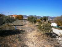 Te koop - Landhuis - Albaida