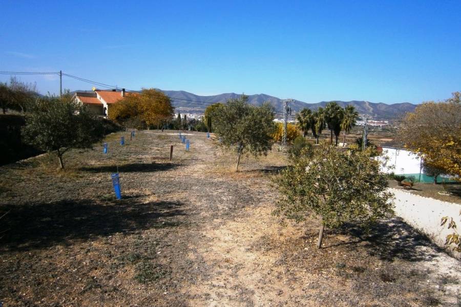 Te koop - Landhuis - Albaida