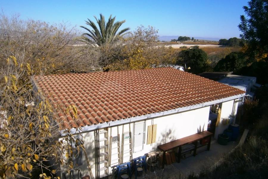 Te koop - Landhuis - Albaida