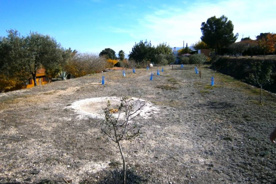 Te koop - Landhuis - Albaida