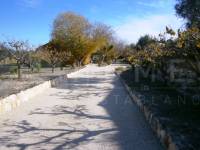 Te koop - Landhuis - Albaida