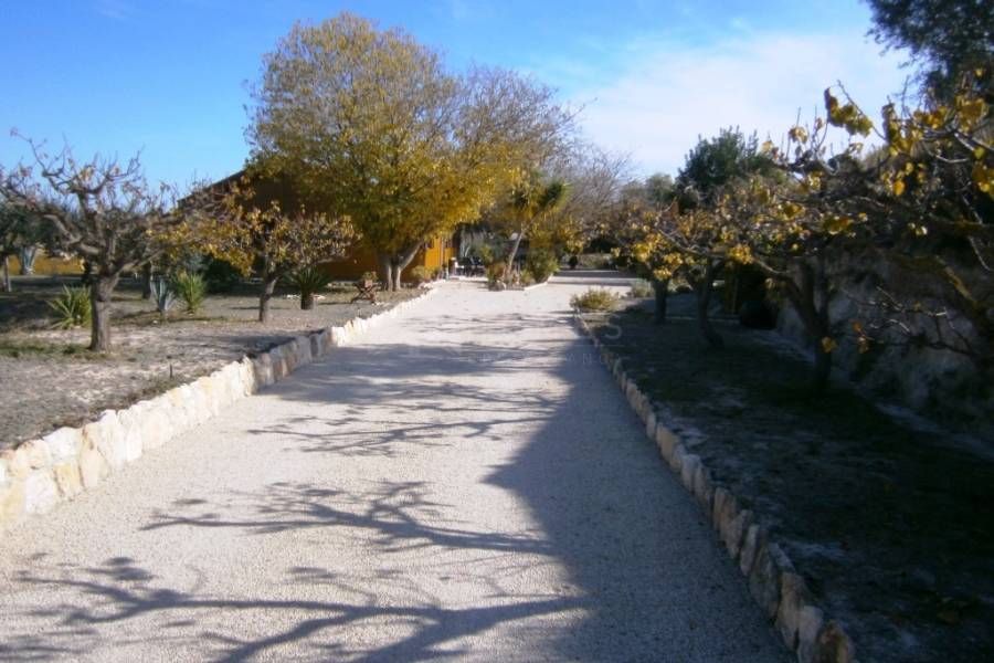 Te koop - Landhuis - Albaida