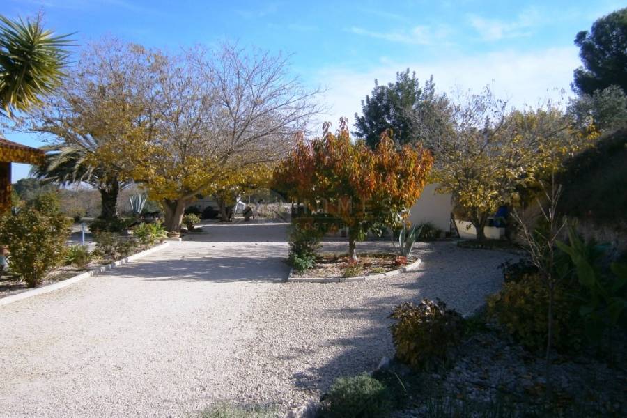 Te koop - Landhuis - Albaida