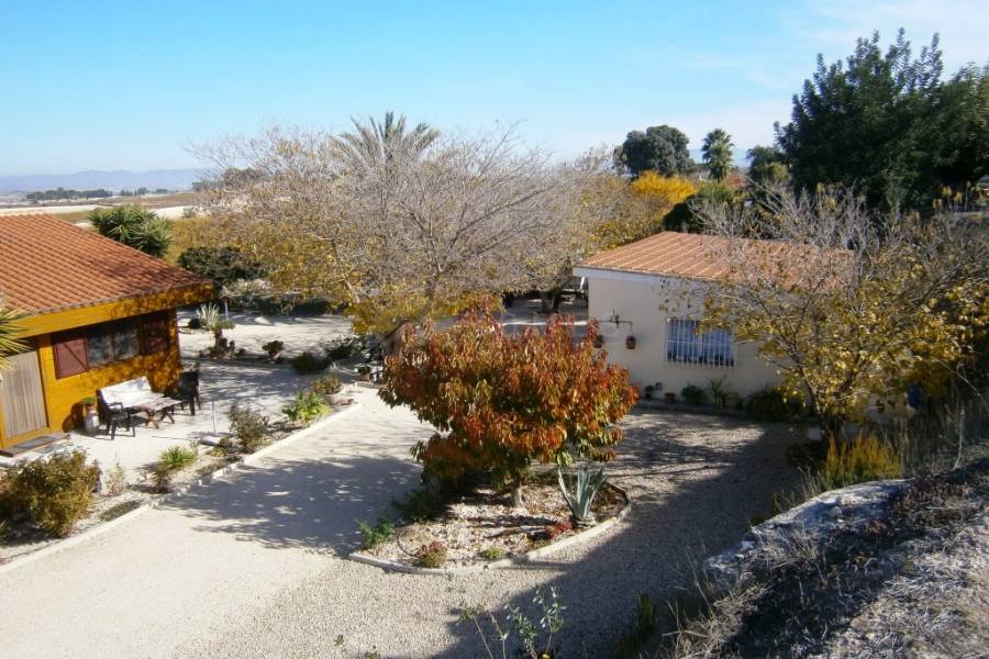 Te koop - Landhuis - Albaida