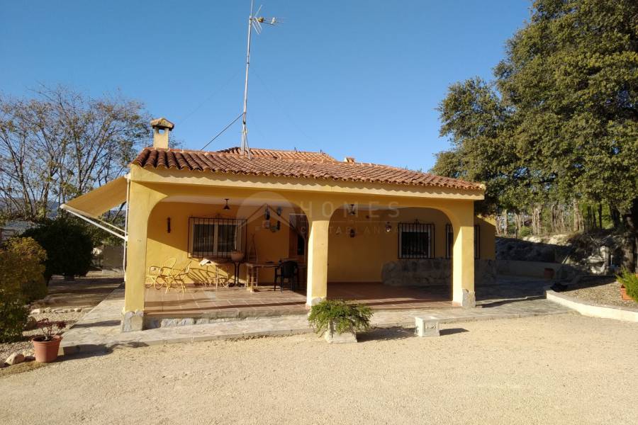 Venta - Casa de Campo - Ontinyent