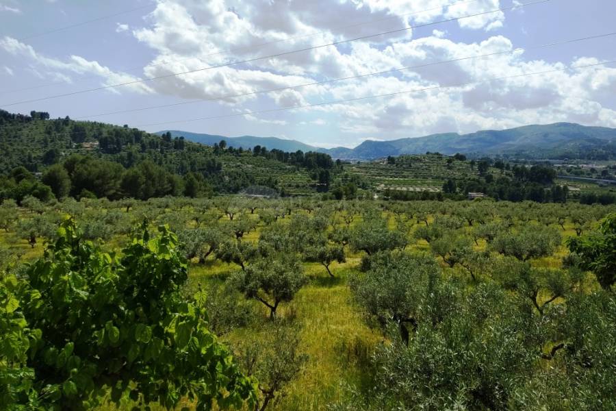 For sale - Finca - Cocentaina