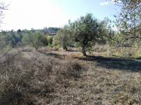 For sale - Rustic Land - Benillup
