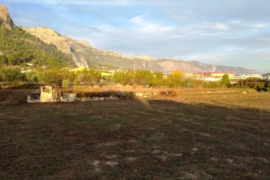 For sale - Rustic Land - Cocentaina