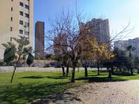 For sale - Apartment - Benidorm