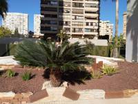 Venta - Apartamento - Benidorm