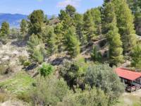 For sale - Country House - Benasau