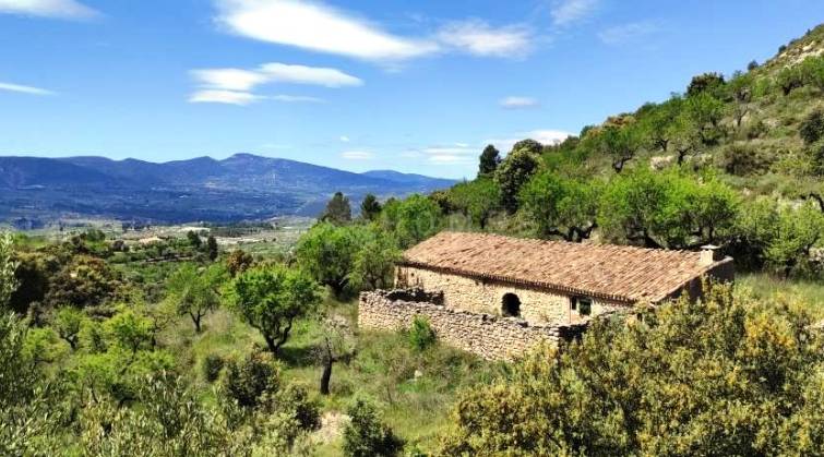 Finca - For sale - Benasau - Benasau