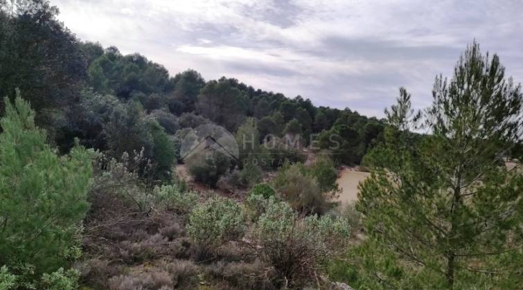 Finca - For sale - Bocairent - Bocairent