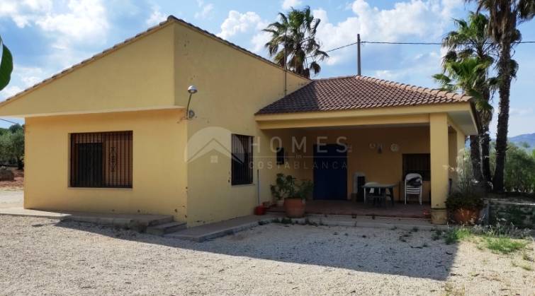 Casa de Campo - Venta - Ontinyent - Ontinyent