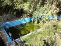 Venta - Finca - Alcocer de Planes