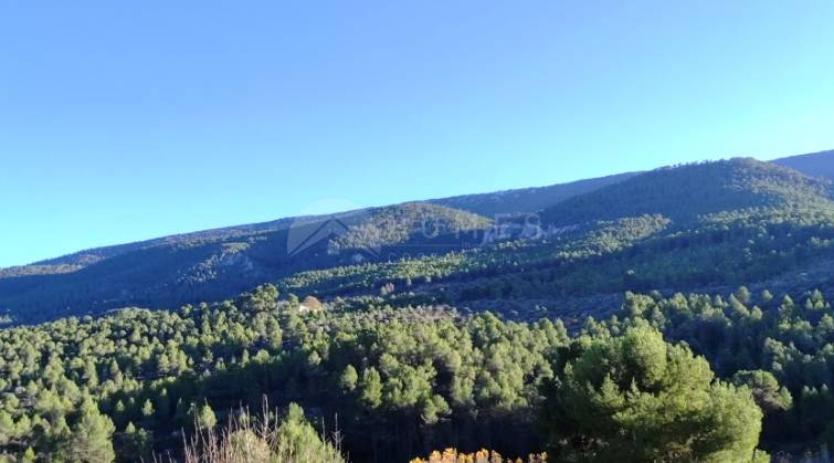 Finca - For sale - Alcoy - Alcoy