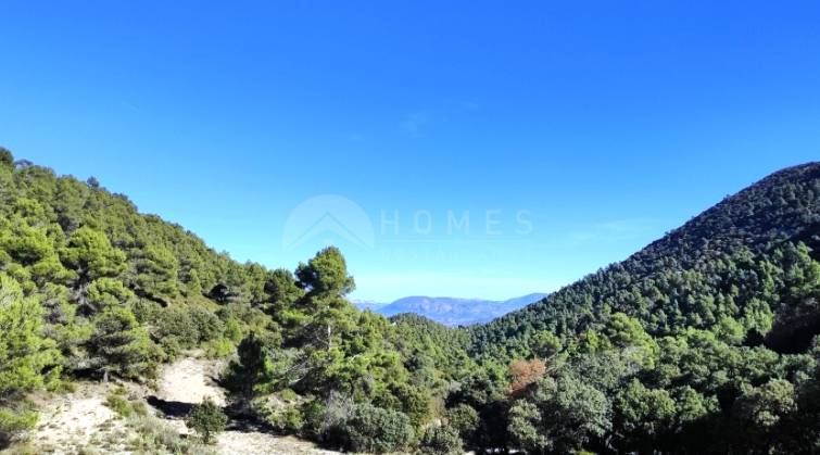 Finca - Venta - Alcoy - Alcoy