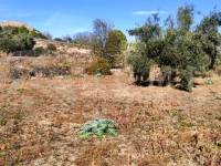 Venta - Casa de Campo - Cocentaina