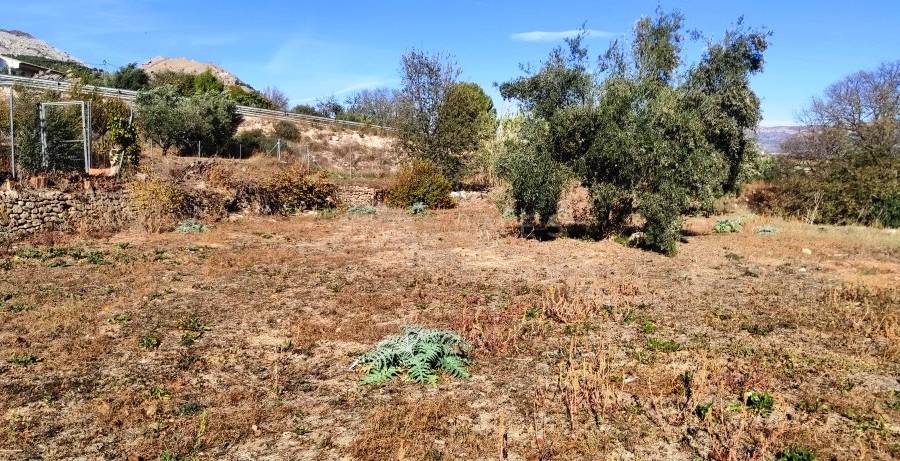 Venta - Casa de Campo - Cocentaina