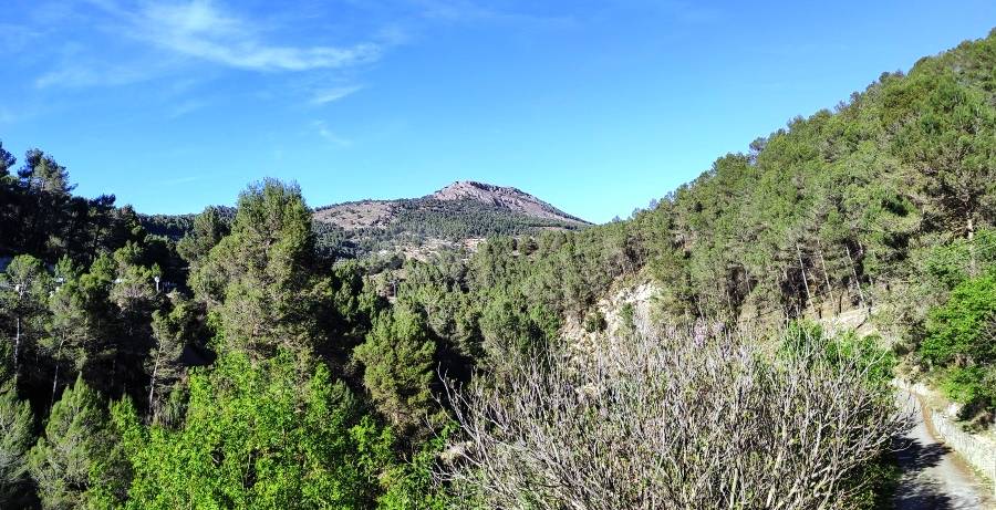 Venta - Finca - Alcoy